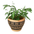 Nava Planter 