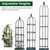 2 Packs Garden Obelisk Trellis 5.9FT Plants