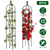 2 Packs Garden Obelisk Trellis 5.9FT Plants