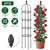 2 Packs Garden Obelisk Trellis 5.9FT Plants
