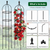 2 Packs Garden Obelisk Trellis 5.9FT Plants