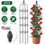 2 Packs Garden Obelisk Trellis 5.9FT Plants
