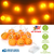 Halloween String Lights