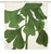 Ginko Shower Curtain