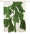 Ginko Shower Curtain