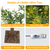 6FT 300Pcs LED Beads Lighted Olive Tree