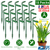 15Pcs Garden Plant 