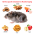 Rat Trap Cage Humane Live Rodent Trap Cage