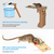 Walk the Plank Mouse Trap Reusable Rat