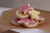 Homestead Baking Co. Sugar Cookie Mix Kit