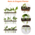 3-Tier Wall Hanging Planter Glass Hydroponic Vase 