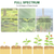 Plant Grow Light LED Full