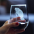 Manatee Stemless Wine Glass - Manatees Gifts and Decor