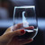 Delaware Outline Stemless Wine Glass - Delawareans Gifts