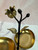 Bowl Condiment Server