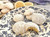 Lemon Cooler Cookie Mix