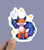 Starry  Fox Vinyl Sticker