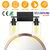2 Light Wall Sconce Lighting 