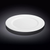 PROFESSIONAL DINNER PLATE 9" | 23 CM