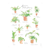 Plant Species Poster