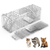 Heavy Duty Folding Live Animal Trap