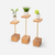 Stem plant holder