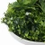 Artificial Green Wall Disc