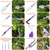 10Pcs Gardening Hand Tool Set