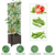 62.99IN Raised Garden Bed Planter Box