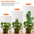 4Pcs Coco Coir Extendable Moss Pole for Climbing Plants Plant 