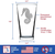 Seahorse Pint Glass for Beer - Ocean Beach Gifts and Decor