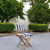 23" Blue and White and Natural Wood Solid Wood Indoor Outdoor Director Chair with Blue and White Cushion
