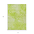8' X 10' Artichoke Green And Lime Green Nautical Washable Indoor Outdoor Area Rug