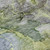 8' Olive Green And Gray Round Abstract Washable Indoor Outdoor Area Rug