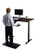 Premier 52" Black Dual Motor Electric Office Adjustable Standing Desk - 808230003514