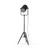 Homeroots Lighting 61" Black Movie Set Floor Lamp