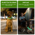 USB Rechargeable LED Dog Collar