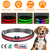 LED Dog Collar