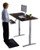 Premier 52" White Dual Motor Electric Office Adjustable Standing Desk - 808230003484