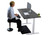 Premier 52" White Dual Motor Electric Office Adjustable Standing Desk - 808230003484