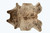 72" X 84" Zebu Cowhide - Rug - 689805004538