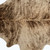 72" X 84" Zebu Cowhide - Rug - 689805004538