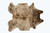 Homeroots Decor Zebu Cowhide Rug, 72 inch x 84 inch