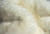 6' X 8' Natural New Zealand Sheepskin Area Rug
