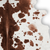 5' X 7' Brown And White Cowhide Cowhide Print Area Rug