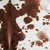 5' X 7' Brown And White Cowhide Cowhide Print Area Rug