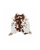 5' X 7' Brown And White Cowhide Cowhide Print Area Rug
