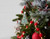 Tree and Star Cookie Cutter Ornament 