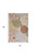 4' X 6' Ivory Green And Blue Indoor Outdoor Area Rug