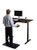 Premier 52" Black Dual Motor Electric Office Adjustable Standing Desk - 808230003460